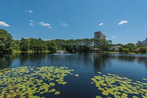 Ein See mit Seerosen, einer Springbrunnen und Gebäuden im Hintergrund.