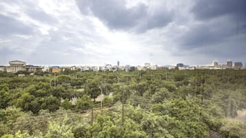 Superior Double Room, City View | Miscellaneous