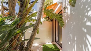 Ein schmaler Außenbereich mit synthetischem Rasen, einer Palme und einem an der Wand befestigten Pflanzgefäß mit weißen Blüten.