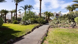 Un vialetto fiancheggiato da palme e cactus conduce a un edificio con facciata bianca e tetto rosso.