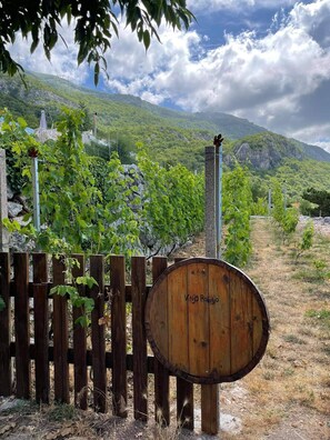 Jardines del alojamiento