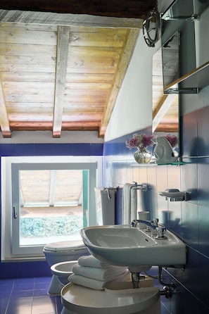 Dusche, Haartrockner, Bidet, Handtücher