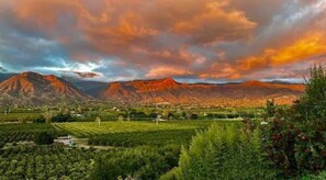 Miscellaneous - 20% Off May! 30+ Night Stay Ojai Valley Home (Ojai)