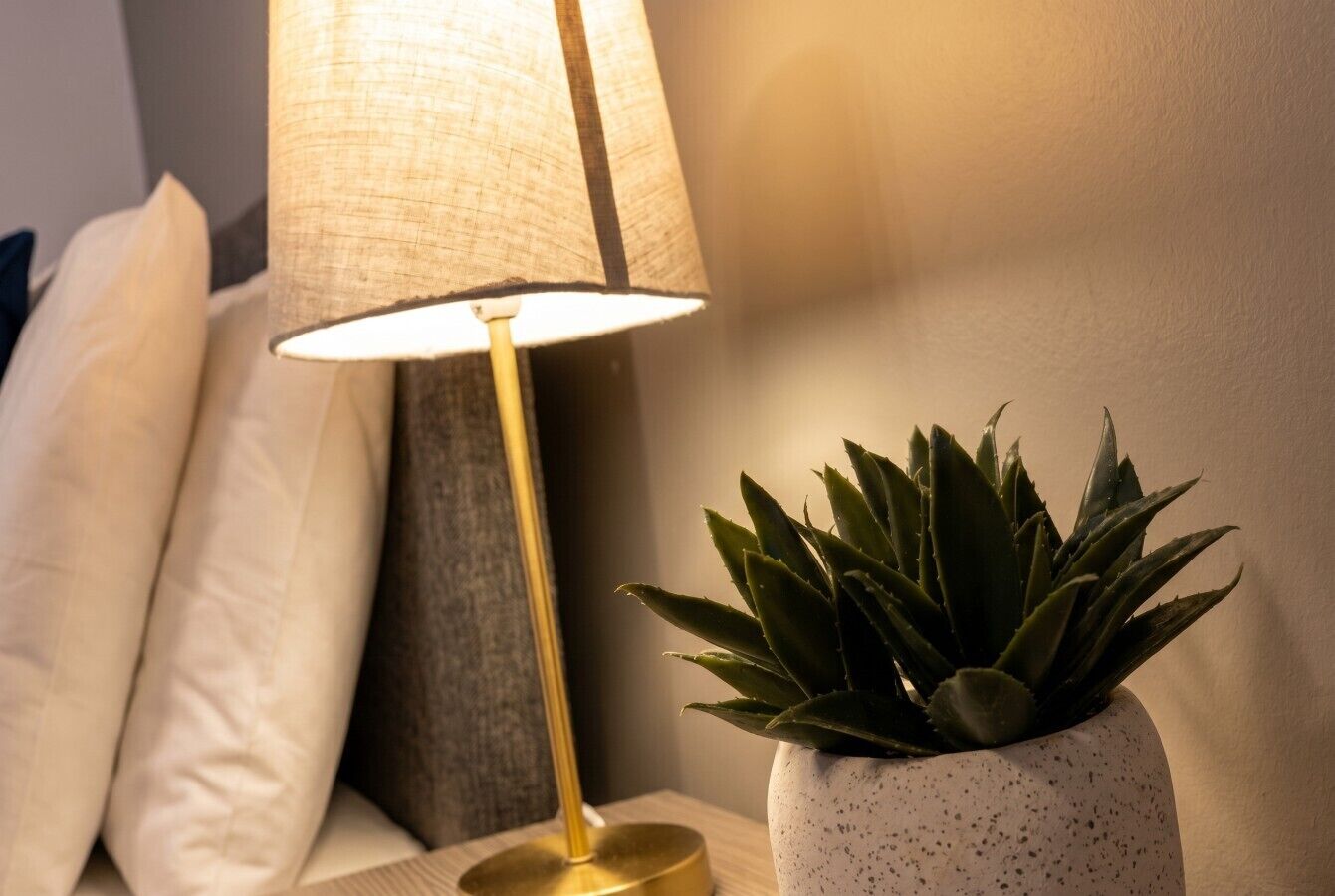 A bedside lamp, a potted plant, and a pillow on a wooden nightstand.