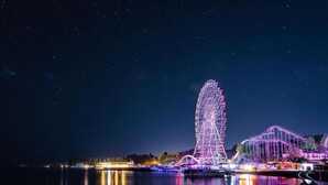 Een reuzenrad en achtbaan bij nacht, met reflecties in het water.