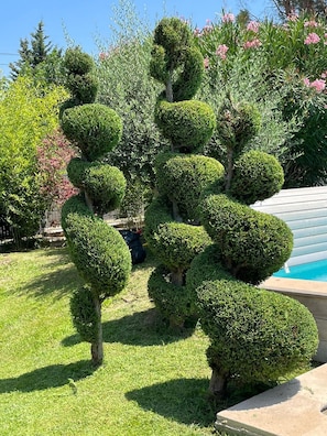 Jardines del alojamiento