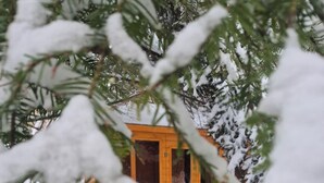 Lumipeitteinen rakennus, jossa on puinen ovi, ja sen ympärillä on lumikuormasta notkuvia oksia.
