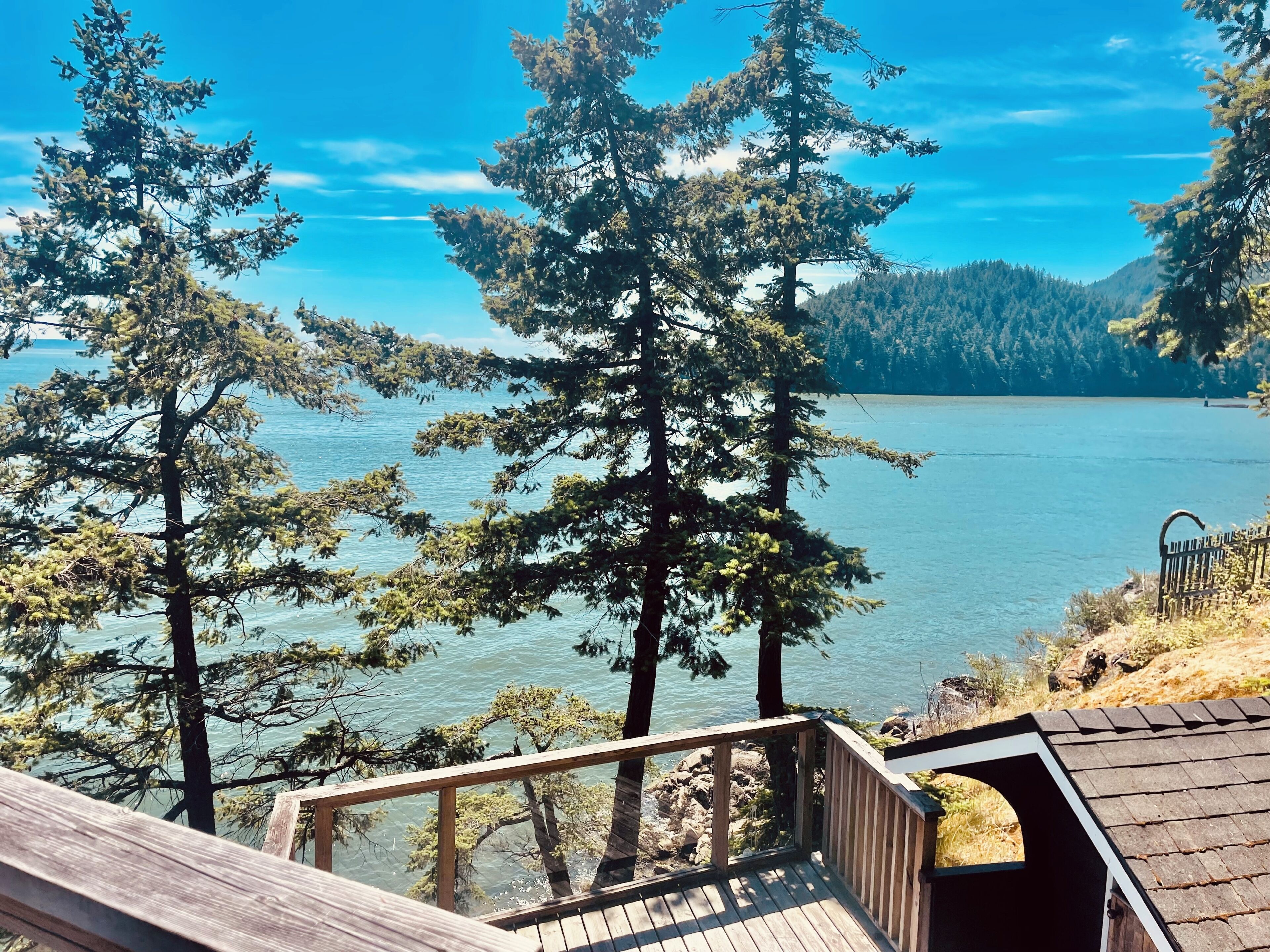 Una terraza de madera con vista a un lago y un bosque.