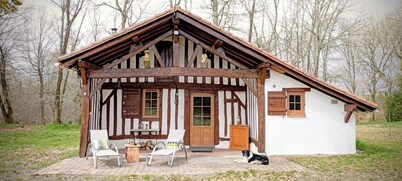 Traditional Landes house in the middle of the forest Pets welcome!