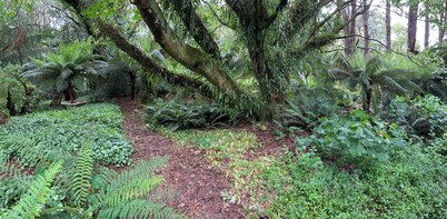 Cabin in the Forest, Cosy Couples Retreat