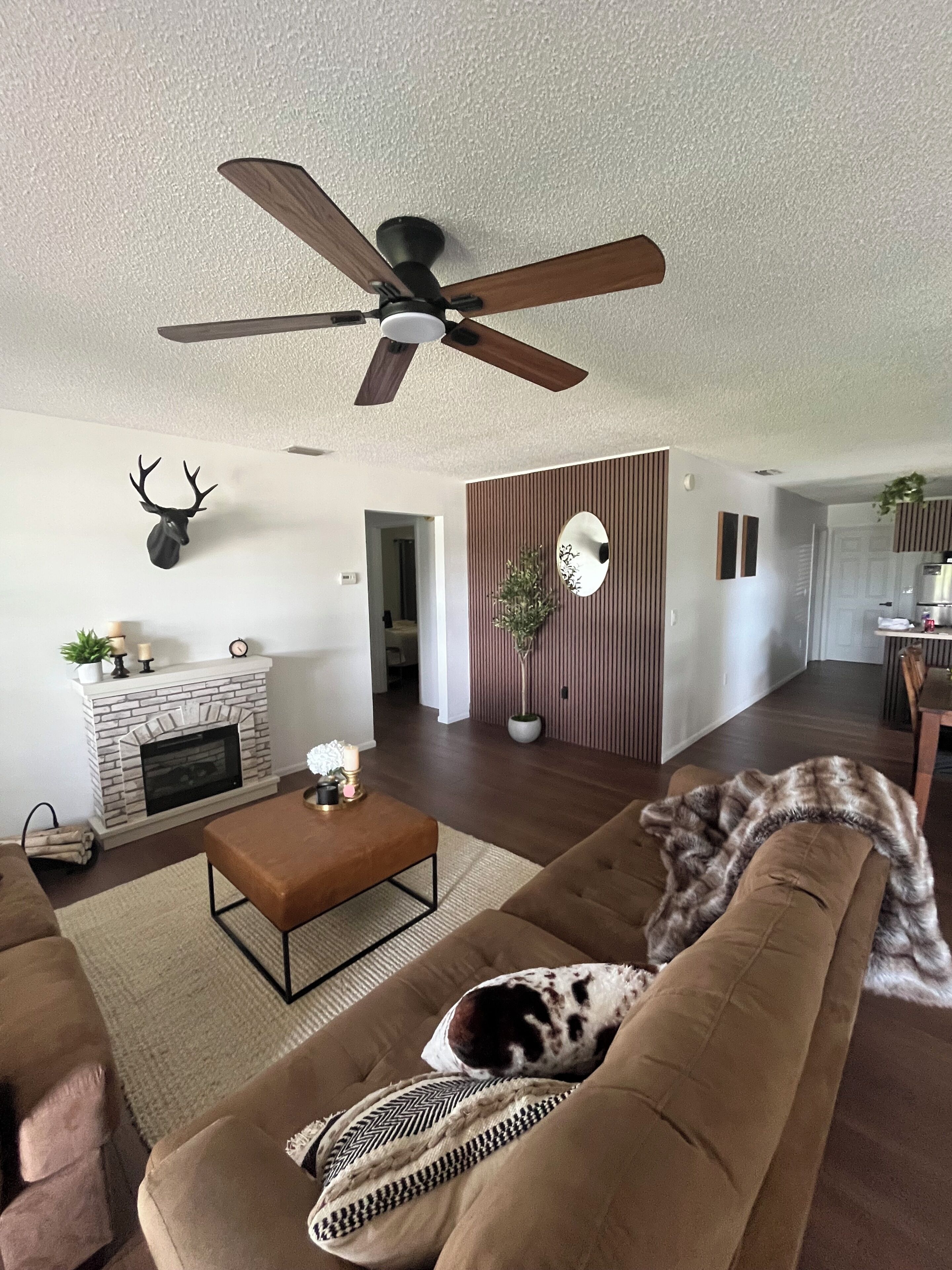 TV, fireplace
