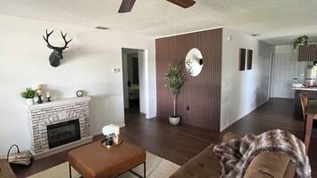 TV, fireplace