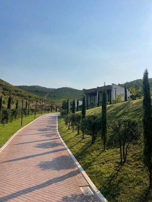 Un chemin pavé mène à un bâtiment moderne doté d’un toit plat, entouré de verdure et d’arbres.