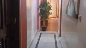 Un pasillo con una planta en maceta, una puerta a la izquierda y un cuadro en la pared.