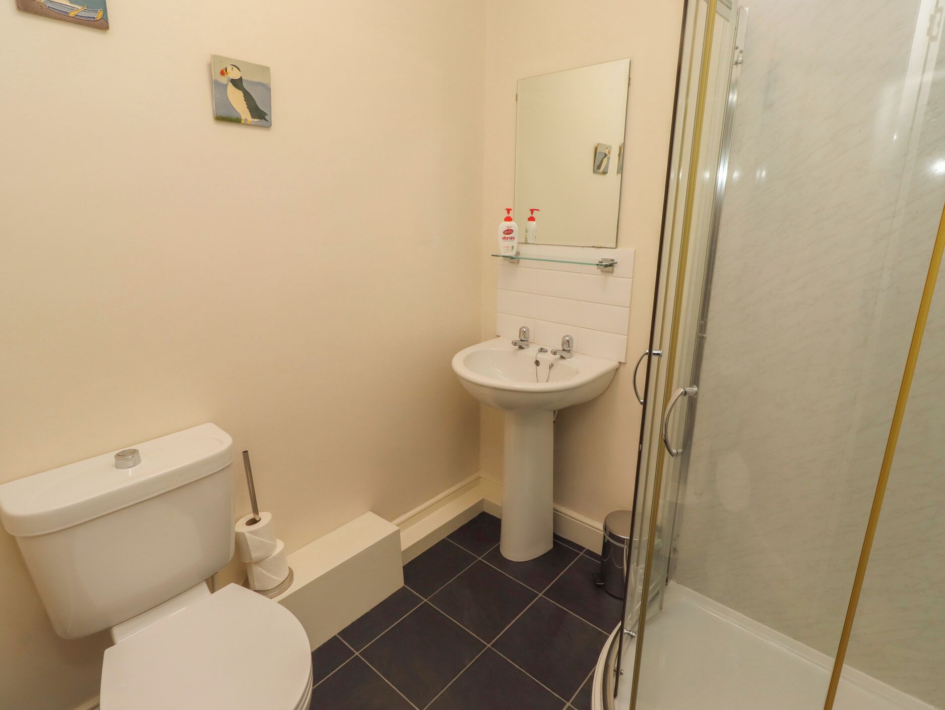 Een badkamer met toilet, wastafel, spiegel en douche.