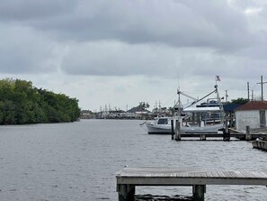 Miscellaneous - Fishing, Crabbing, Relaxing..... You will enjoy whichever you decide to do. (Chauvin)