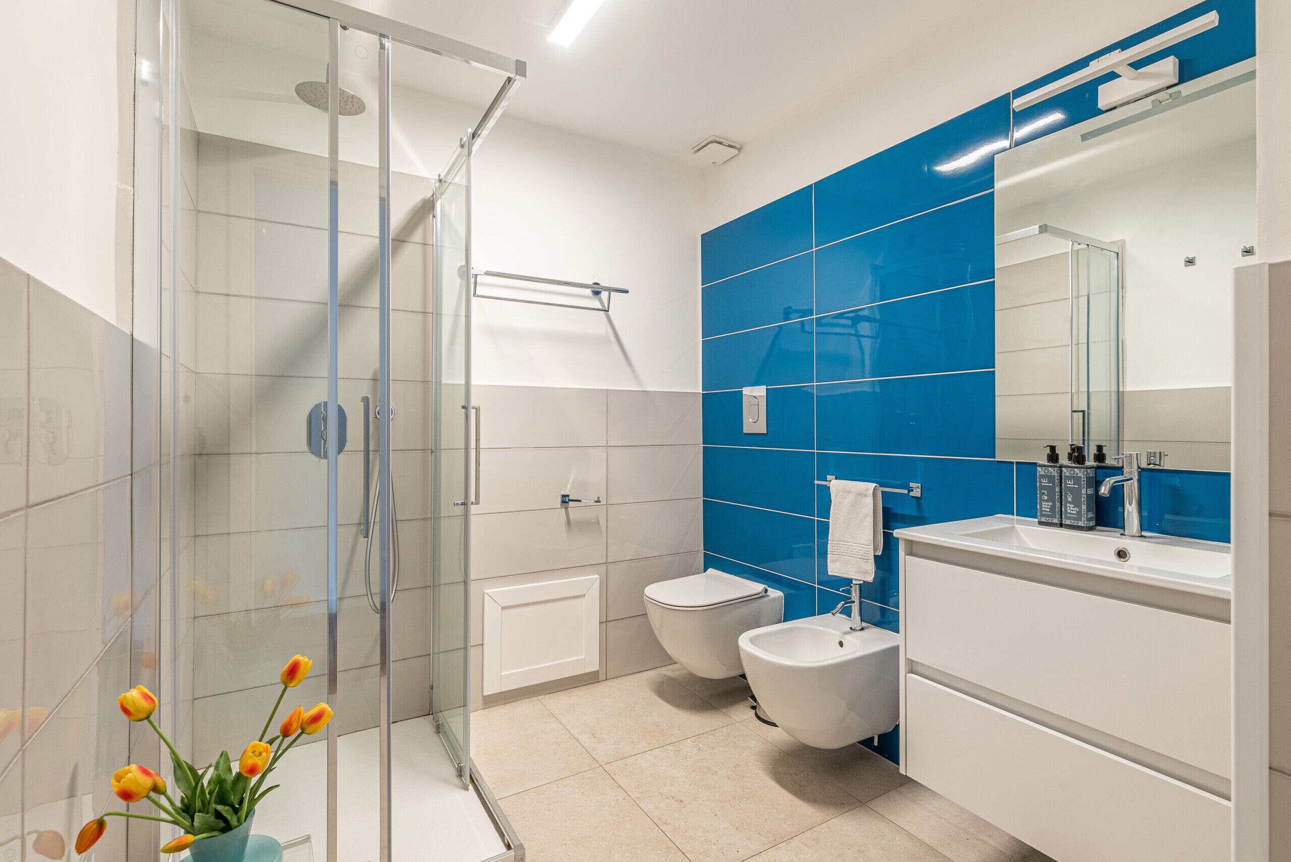 Regadera, secadora de cabello, bidet, toallas 
