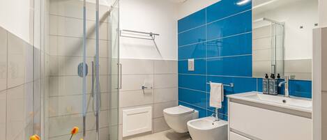 Regadera, secadora de cabello, bidet, toallas