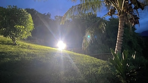 A grassy area with a palm tree and a bright light source in the distance. - LA POINTE DE VARIN VACATION RENTAL (Pointe-Noire)