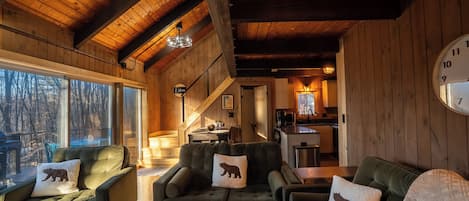 Smart TV, fireplace, books