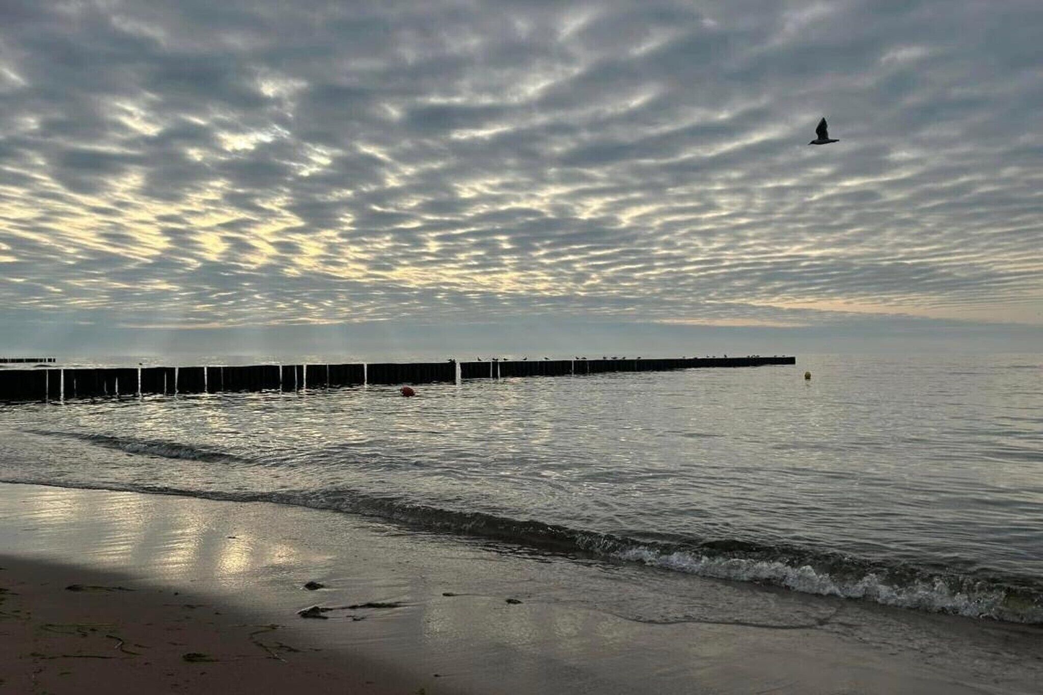 Une plage avec une jetée qui s’avance dans l’eau, des vagues qui viennent doucement lécher le rivage, et un ciel nuageux au-dessus.