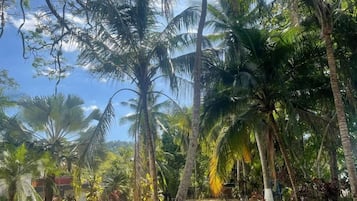 Appartement, balcon, vue cour intĂ©rieure | Enceinte de lâhĂ©bergement