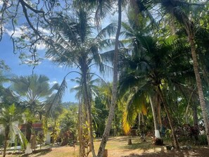 Property grounds - Macaw Paradise (garabito)