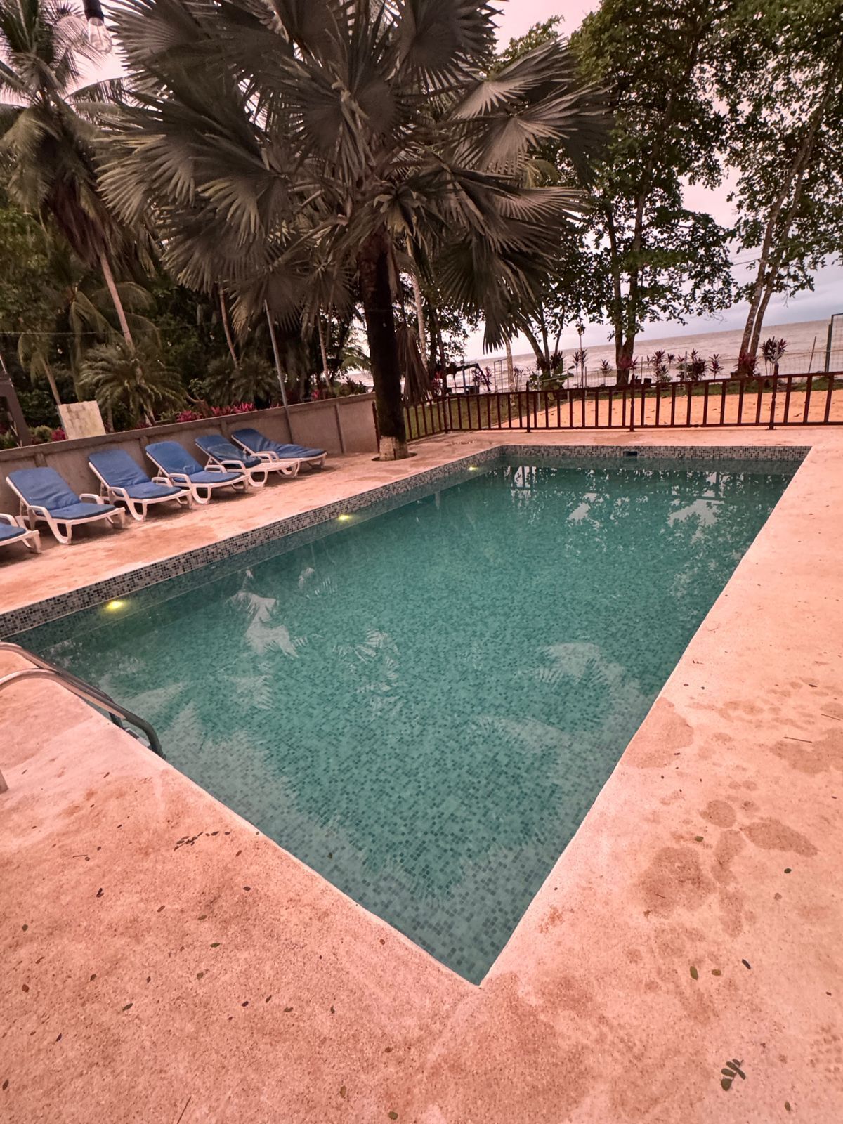 A swimming pool with lounge chairs, palm trees, and a view of the beach.