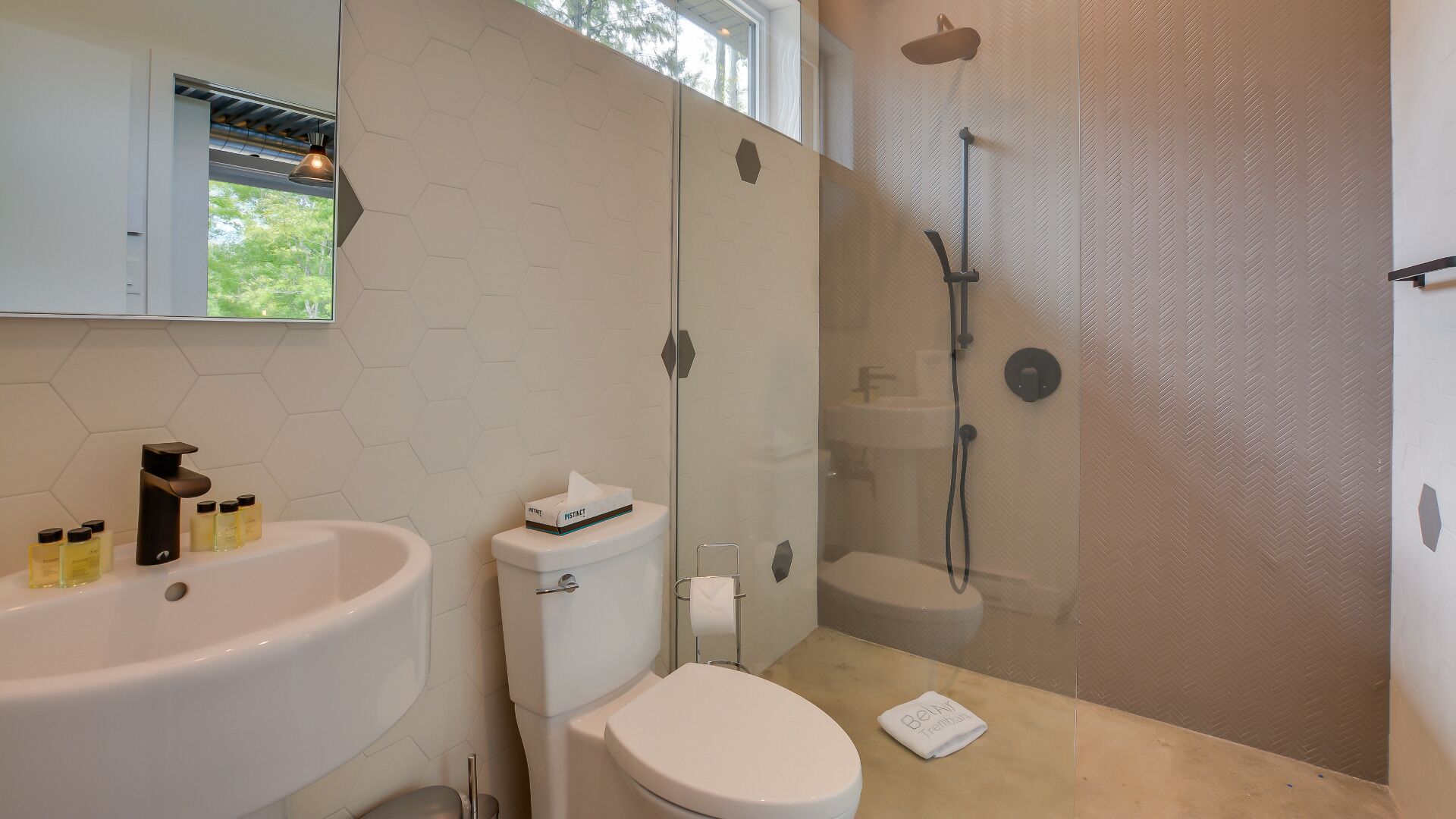 Hair dryer, towels