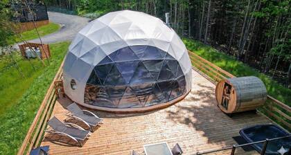 Bel Air Tremblant DĂME DELUXE : 1 LIT KING, JACUZZI, SAUNA-700PI