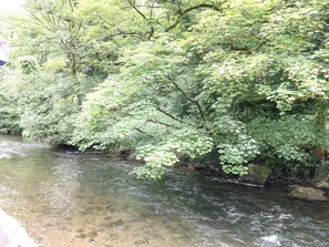 A river with dense foliage on one side. - The Barn (Buxton)
