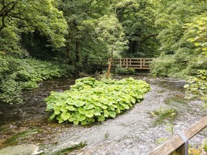 Property grounds - The Barn (Buxton)