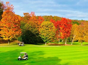 A golf course with a green fairway, trees in autumn colors, and a golf cart. - Stratton; 8 min. Swimming; 2 min. Pet Friendly (Winhall)