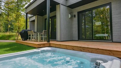 Bel Air Tremblant ANDORRA: 2 CHAMBRES, JACUZZI
