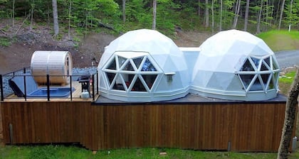 Bel Air Tremblant TWIN DĂME : 1 CHAMBRE, JACUZZI, SAUNA