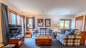 A cozy living room with a TV, two plaid sofas, a wooden coffee table, and a rug. - Stratton walk on/off, walk to food/drink, fireplace (Stratton)