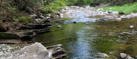 A natural stream with rocks and dense green foliage.