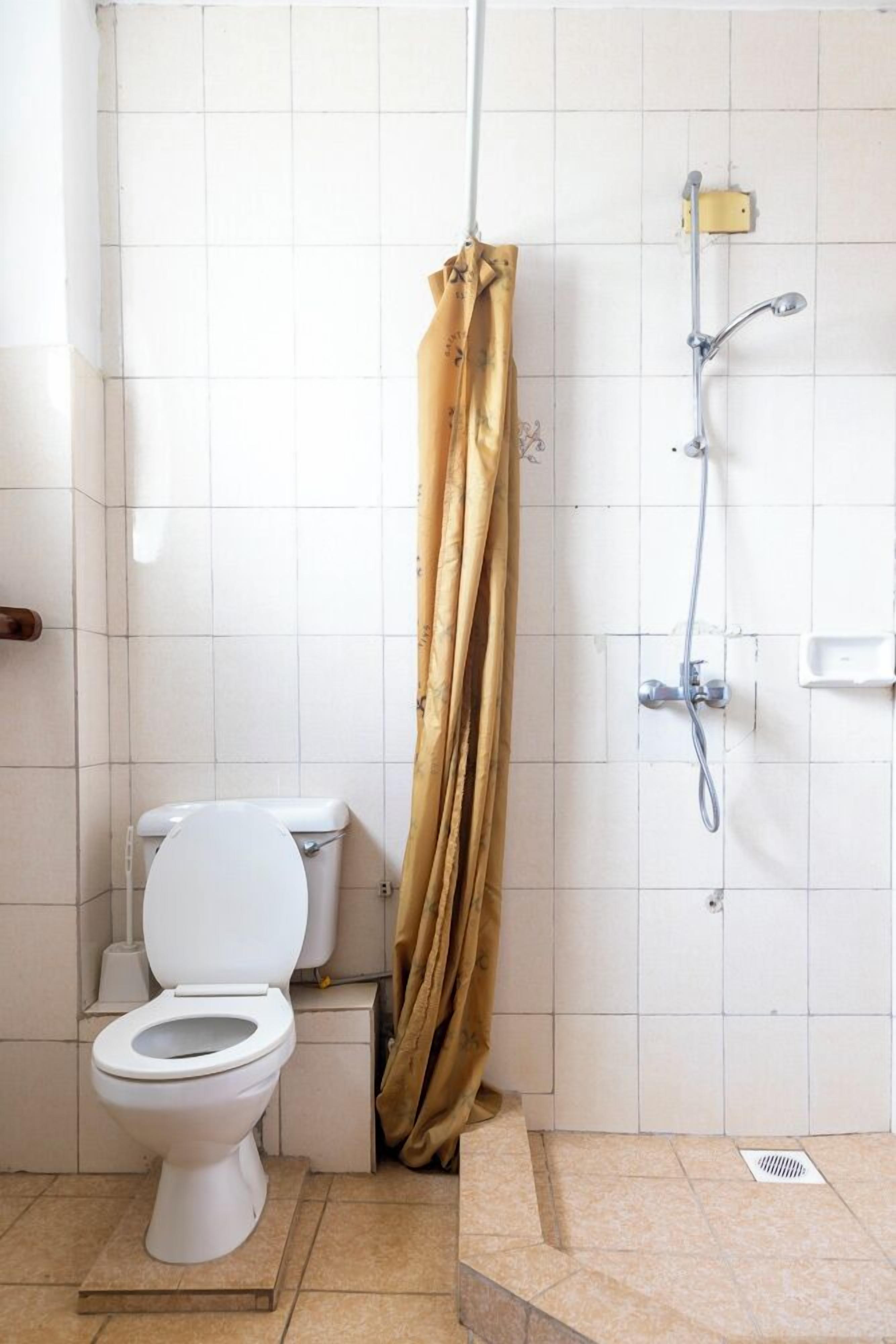 A bathroom with a toilet, shower, and a curtain.