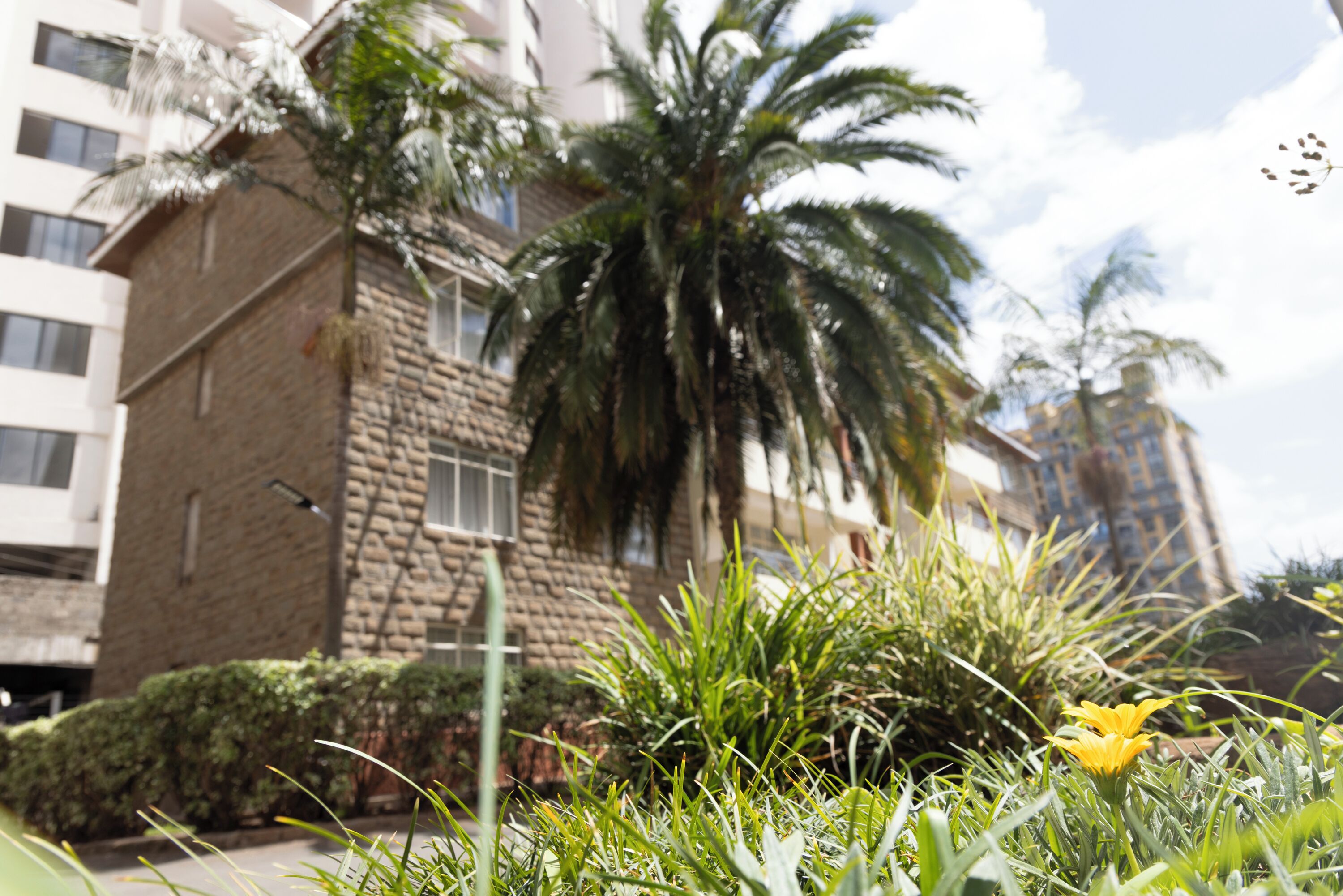 Un edificio con fachada de piedra, una palmera y una flor amarilla en primer plano.