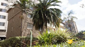Un edificio con fachada de piedra, una palmera y una flor amarilla en primer plano.