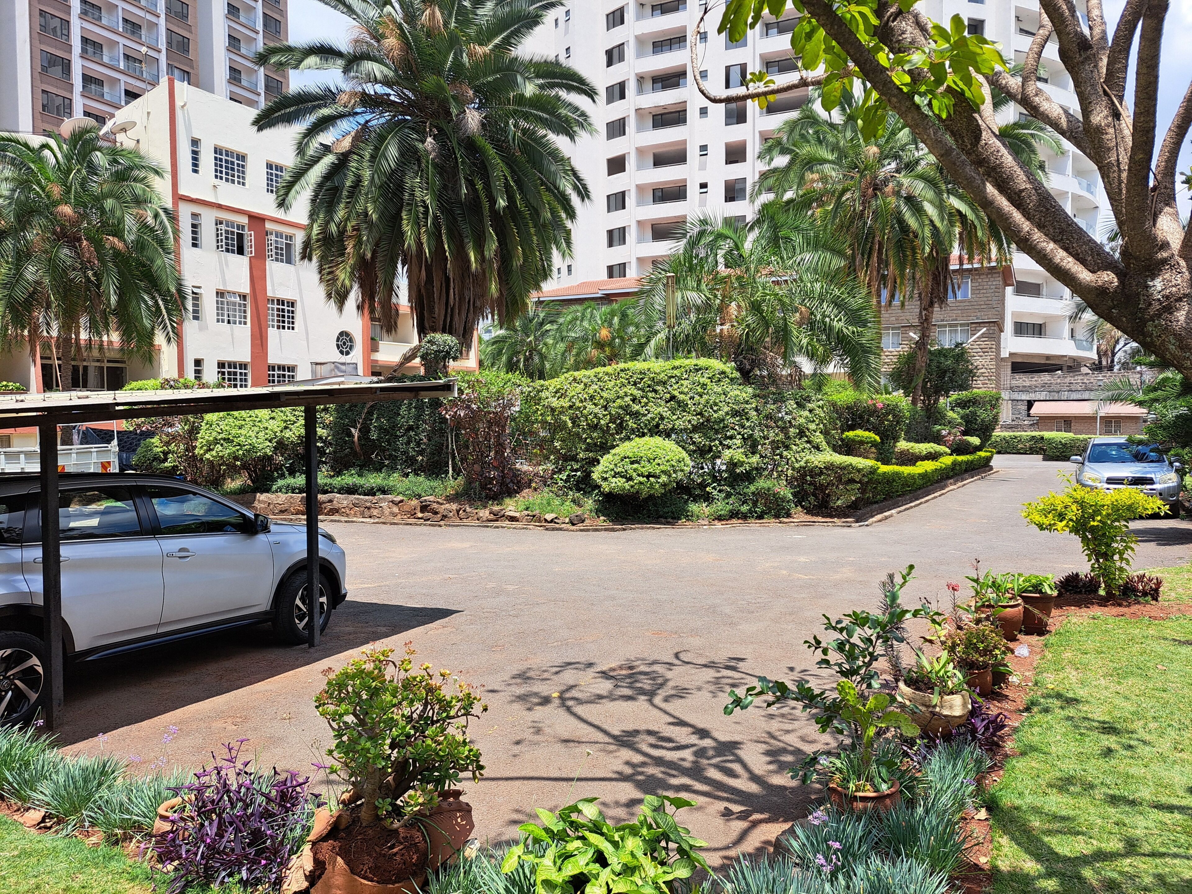 Zona residencial con entrada pavimentada, coches aparcados y vegetación cuidada, que incluye diversas plantas en macetas y arbustos.