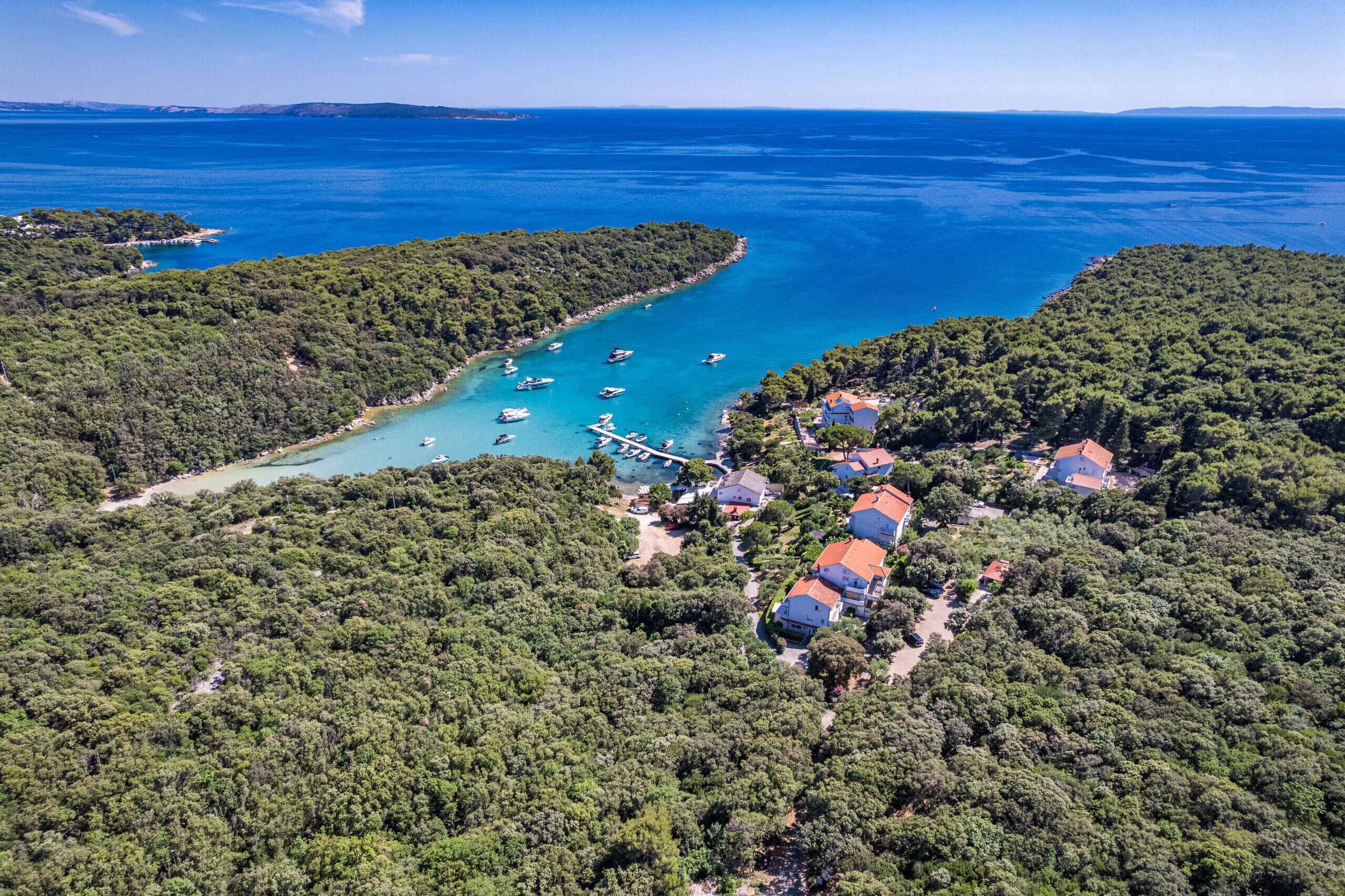 An aerial view of a coastal area with a marina, surrounded by dense forest, and houses with red roofs.