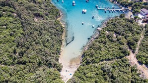 Vista aerea di una zona costiera con barche, un molo e una fitta foresta.