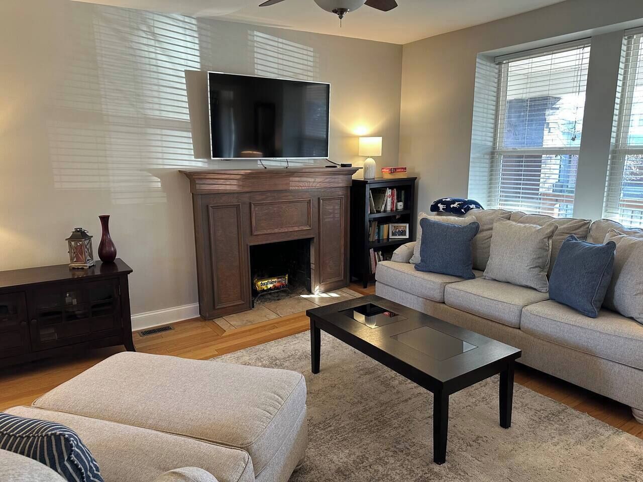 Smart TV, fireplace, books, music library