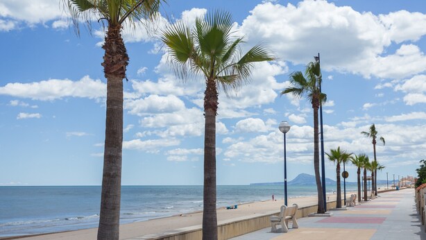 A beach with palm trees, a walkway, and a view of the sea and mountains. - Holiday Home 'Villa Miramar Beach' with Mountain View, Wi-Fi and Air Conditioning (Miramar)