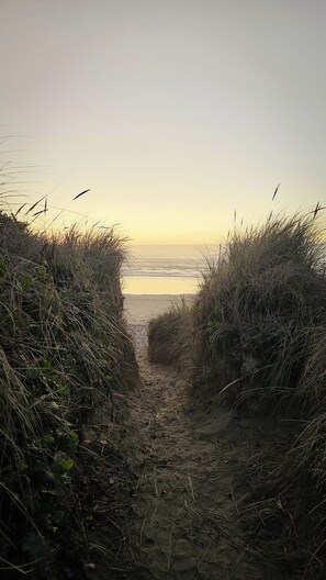 Nära stranden