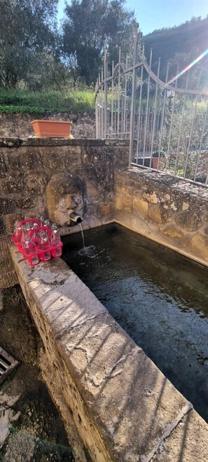 Spa