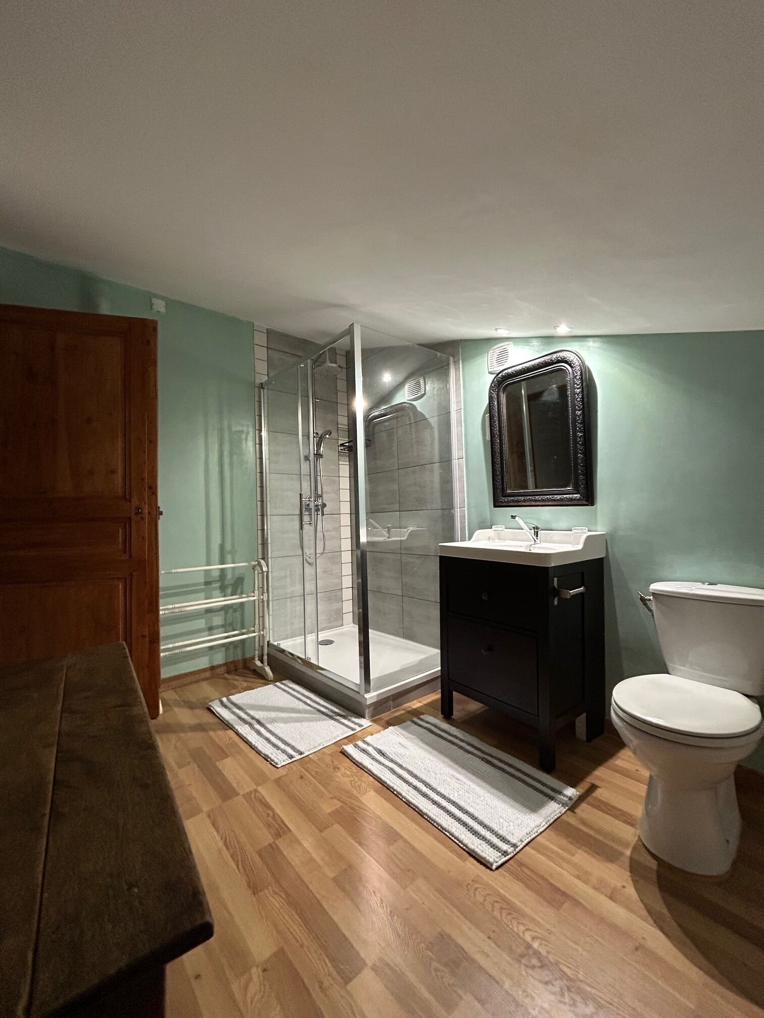 Shower, hair dryer, soap, toilet paper