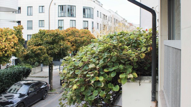 Eine Wohnstraße mit einem parkenden Auto, einem Gebäude mit vielen Fenstern und einem Baum mit grünen Blättern.