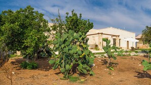 Paisaje desértico con cactus y un edificio de piedra con techo plano.